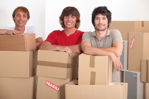 Professional flat removals planning in Barnes with packed boxes